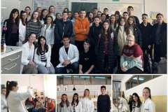 IMG-3b33ec501b5122ace725c97acc41fdd3-V