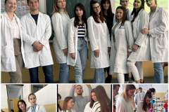 IMG-d87ca43a2f42241a42311ce9a5f97efc-V
