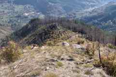 IMG-139b277eefb7cd61129af65c8e045657-V