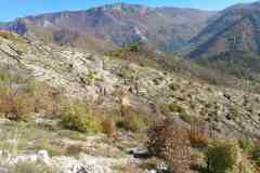 IMG-4cf14d28d5a4af84b2eb4a718b2dfd0c-V