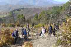 IMG-6f2d0f71fdbf51c21c697330c93204b4-V