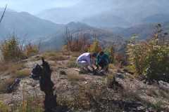 IMG-c218cc0cc035ffb8443cb199e5f850b6-V